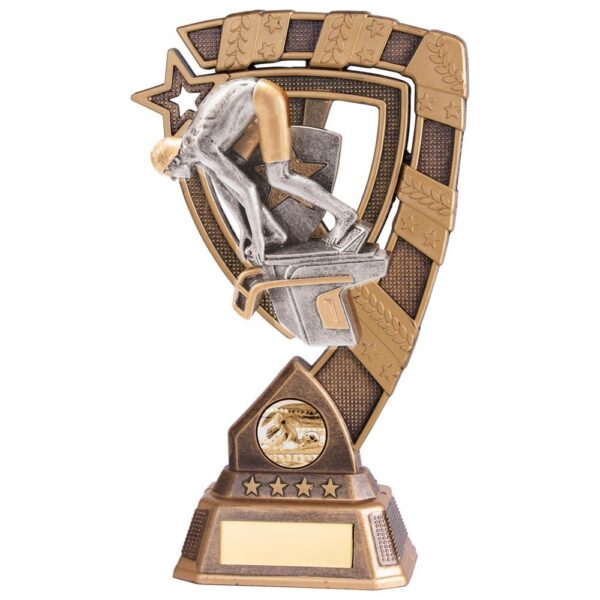 Euphoria Swimming Male Award - Engrave Express