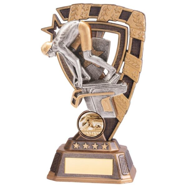 Euphoria Swimming Male Award - Engrave Express