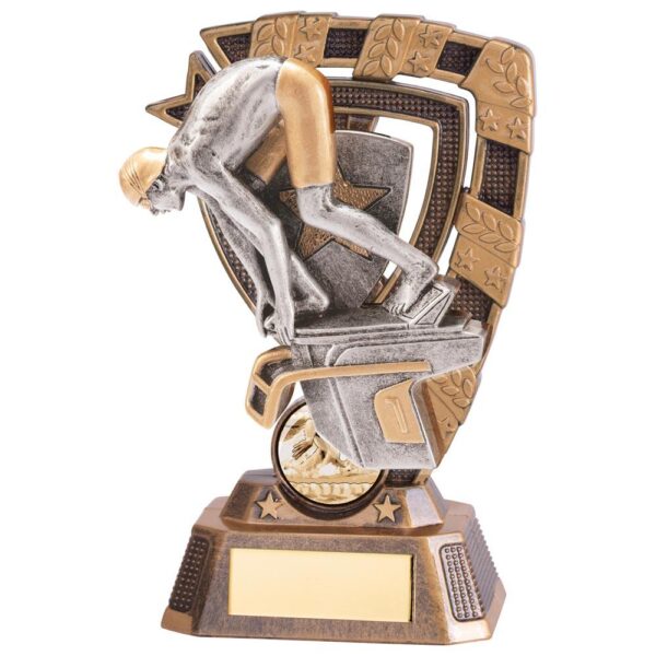 Euphoria Swimming Male Award - Engrave Express