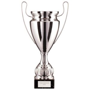 EuroStars Cup Silver - Cornish Custom Creations