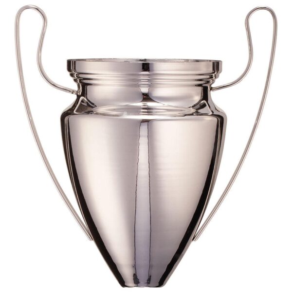 Eurostars Cup Silver - Cornish Custom Creations
