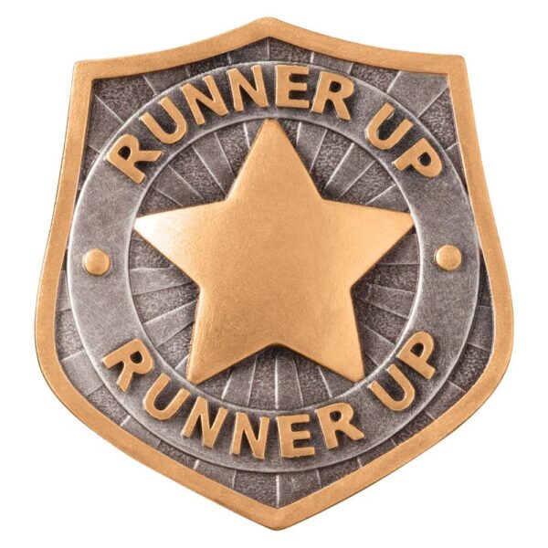 Falcon Achievement Runner Up Insert - Engrave Express