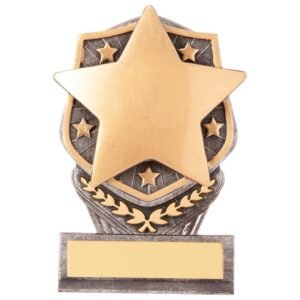 Falcon Achievement Star Award - Engrave Express