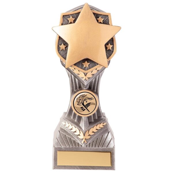 Falcon Achievement Star Award - Engrave Express