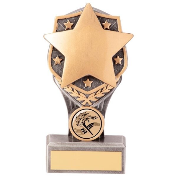 Falcon Achievement Star Award - Engrave Express