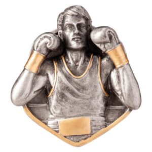 Falcon Boxing Insert - Engrave Express