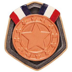 Falcon Bronze Medal Resin Insert - Engrave Express