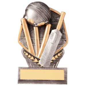 Falcon Cricket Award - Cornish Custom Creations