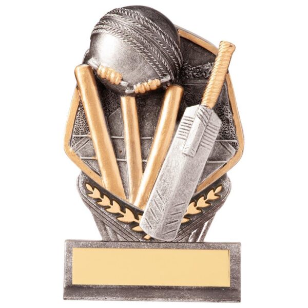 Falcon Cricket Award - Cornish Custom Creations