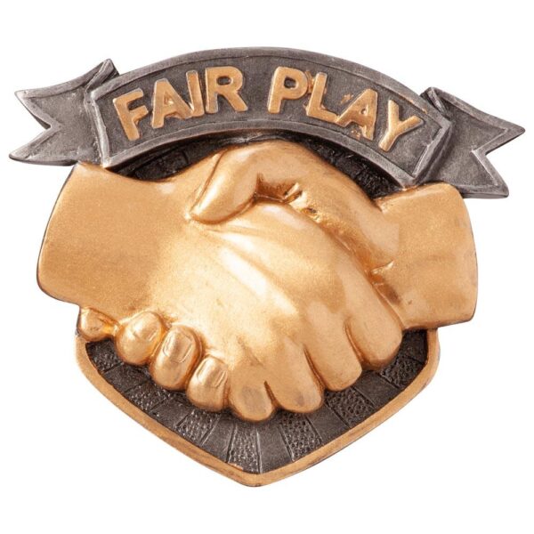 Falcon Fair Play Insert - Engrave Express