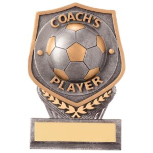 Falcon Football Coach's Player Award - Cornish Custom Creations