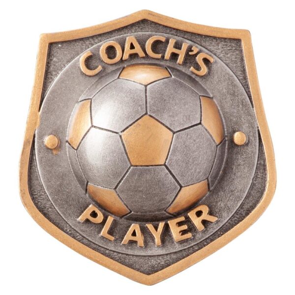 Falcon Football Coach's Player Insert - Engrave Express