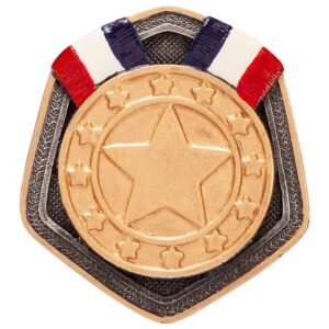 Falcon Gold Medal Resin Insert - Engrave Express