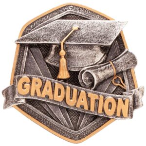 Falcon Graduation Resin Insert - Engrave Express