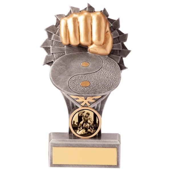 Falcon Martial Arts Award - Engrave Express