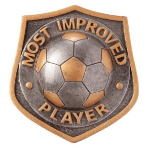 Falcon Most Improved Player Insert - Engrave Express