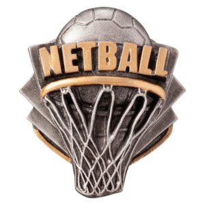 Falcon Netball Insert - Engrave Express