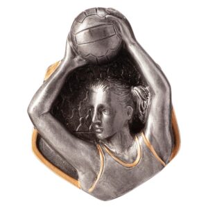 Falcon Netball Insert - Engrave Express