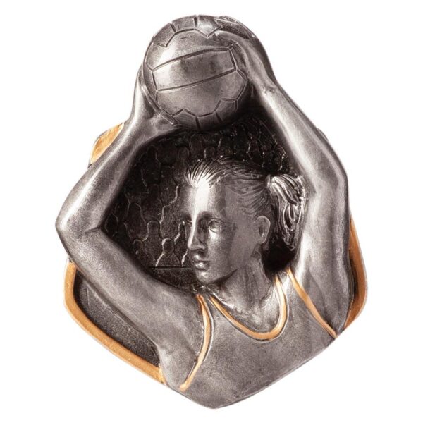 Falcon Netball Insert - Engrave Express