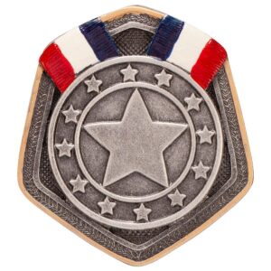 Falcon Silver Medal Resin Insert - Engrave Express