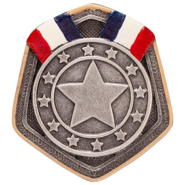 Falcon Silver Medal Resin Insert - Engrave Express