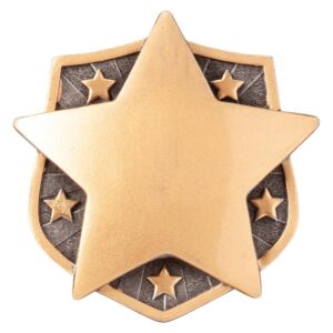Falcon Star Insert - Engrave Express