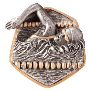 Falcon Swimming Insert - Engrave Express
