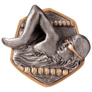 Falcon Swimming Insert - Engrave Express