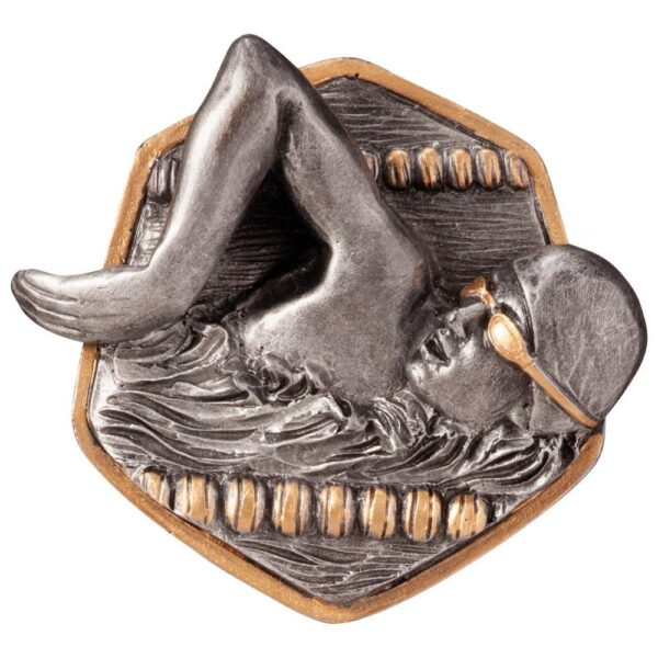 Falcon Swimming Insert - Engrave Express