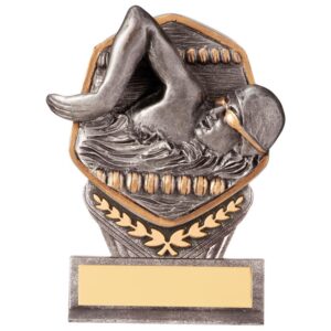 Falcon Swimming Male Award - Engrave Express