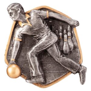 Falcon Ten Pin Bowling Insert - Engrave Express