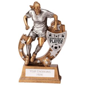 Galaxy Football Manager Player Award - Cornish Custom Creations