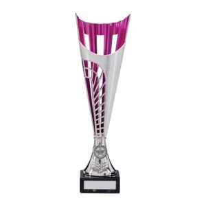 Garrison Plastic Laser Cut Cup Silver & Pink - Cornish Custom Creations