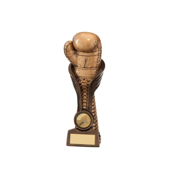 Gauntlet Boxing Award - Cornish Custom Creations