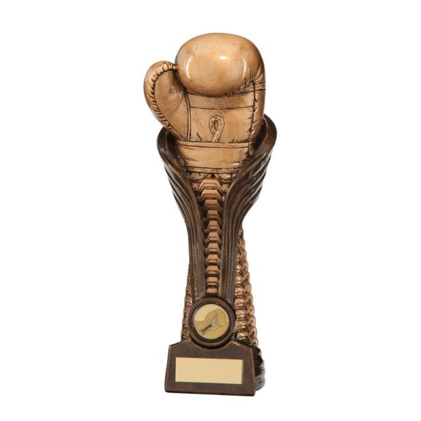 Gauntlet Boxing Award - Cornish Custom Creations