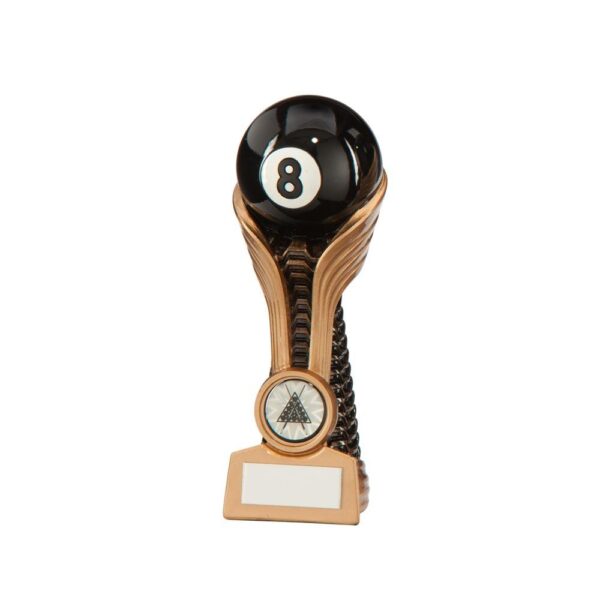 Gauntlet Pool Award - Cornish Custom Creations