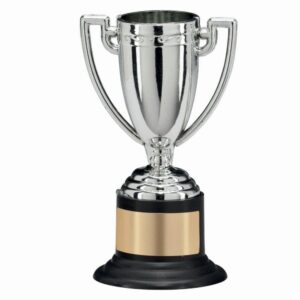 Goliath Plastic Cup Silver - Cornish Custom Creations