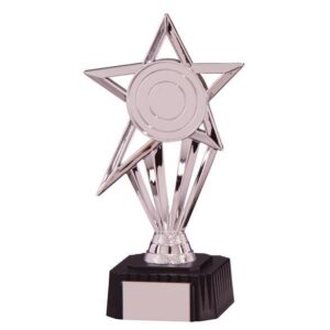 High Star Silver Award - Cornish Custom Creations