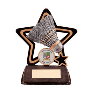 Little Star Badminton Award - Engrave Express