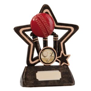 Little Star Cricket Award - Cornish Custom Creations