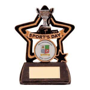 Little Star Sports Day Award - Cornish Custom Creations