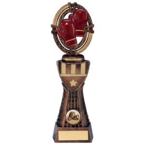 Maverick Boxing Heavyweight Award - Cornish Custom Creations