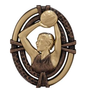 Maverick Netball Antique Bronze Trim - Engrave Express