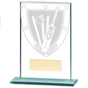 Millennium Cricket Jade Glass Award - Cornish Custom Creations