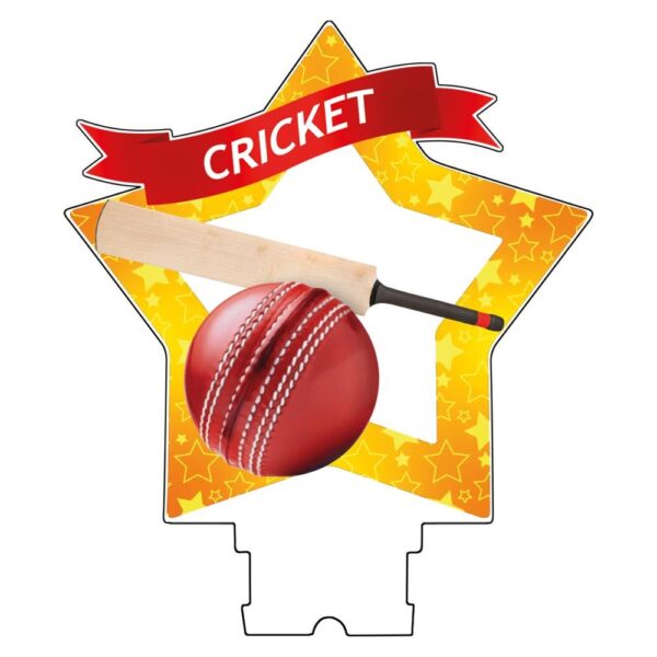 Mini-Star Cricket Acrylic Plaque - Cornish Custom Creations