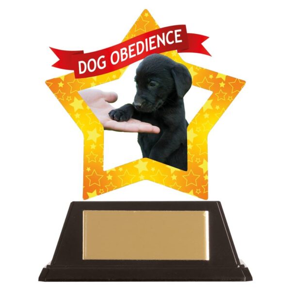 Mini-Star Dog Obedience Acrylic Plaque - Engrave Express