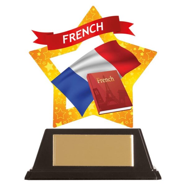 Mini-Star French Acrylic Plaque - Cornish Custom Creations