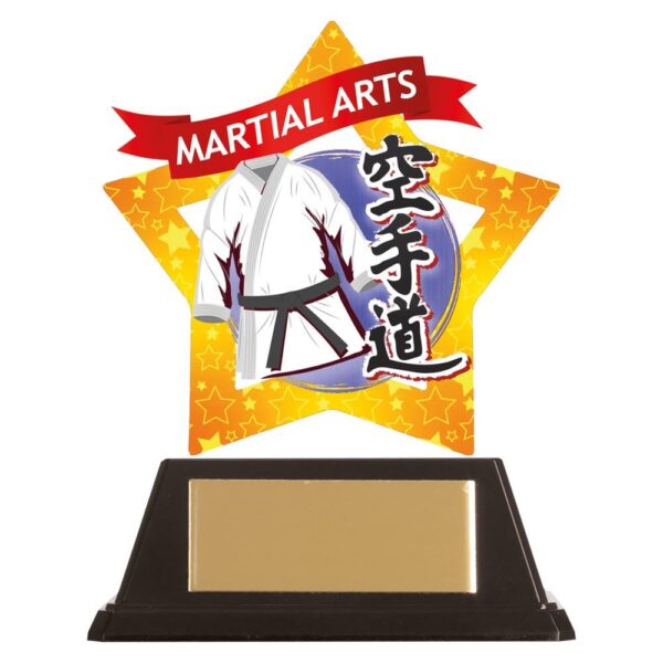 Mini-Star Karate Acrylic Blue Plaque - Engrave Express