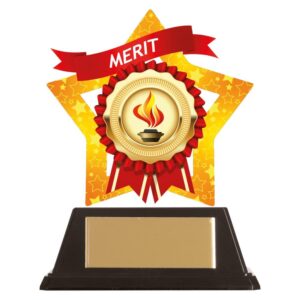 Mini-Star Merit Acrylic Plaque - Cornish Custom Creations