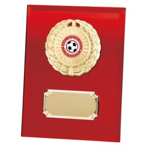 Mirage Multi-Sport Mirror Plaque Red - Cornish Custom Creations